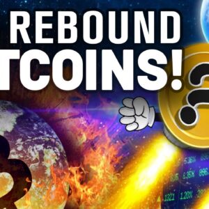 BITCOIN Crash!? Don’t Worry! These Coins Will REBOUND!!