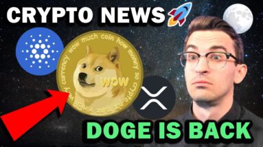 CRYPTO NEWS - ELON PUMPS DOGE, CARDANO SURGE SOON, XRP, SUSHI, BNB