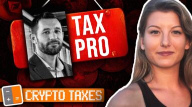 Crypto Taxes Pt.1: Meet a Proper Crypto Tax Pro