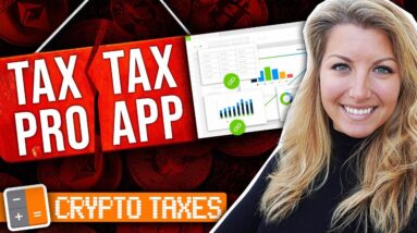 Crypto Taxes Pt. 2: Tax Pro vs Tax Reporting Software
