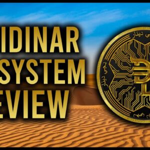 Digidinar Ecosystem Review