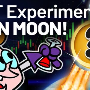 NFT ALTCOIN "Experiment" Is Destined for the MOON!!!