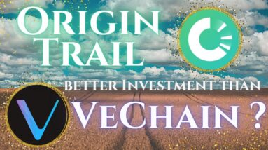 Origin Trail Better Investment Than Vechain Right Now?