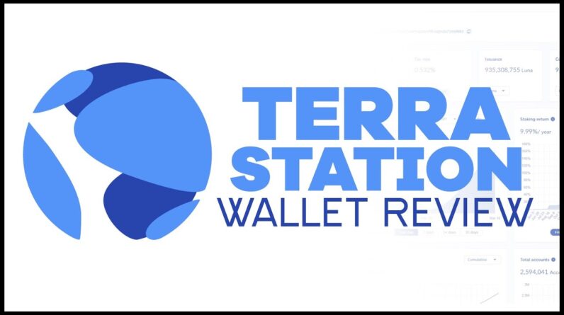 Terra Station Wallet Review