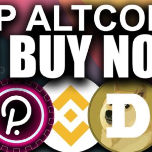 TOP Altcoins to BUY NOW (Market Guide 2021)