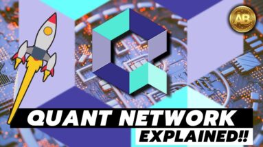 WHY QUANT NETWORK WILL BE MASSIVE | QNT PRICE PREDICTION | OVERLEDGER EXPLAINED