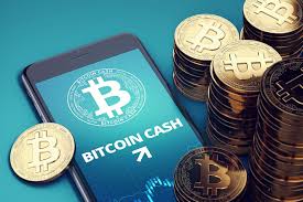Is Bitcoin Cash a good investment