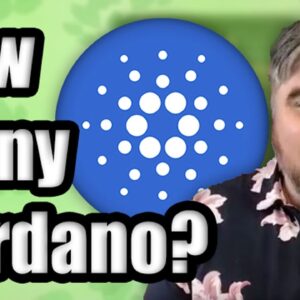 How Much Cardano (ADA) Do I Need To Become A Cryptocurrency Millionaire in 2021? | BitBoy Crypto