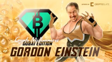 WHY Bitcoin will NEVER CRASH & DIE + The Power of the DAO w/ Gordon Einstein!