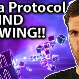Mina Protocol: A REALLY CRAZY Crypto Project!! ðŸ¤¯