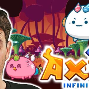 Axie Infinity: AXS EXPLOSION!! Still Any Potential?? ðŸ’¥