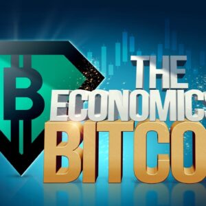 Bitcoin 2022 Documentary: The Economics of Bitcoin Today!