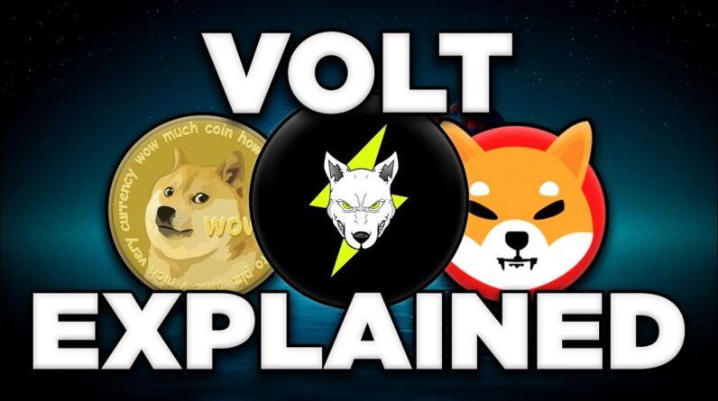 Is This Community-Driven DeFi Crypto The Next SHIB? | Volt Inu Explained