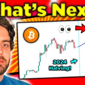Bitcoin Price AFTER Halving REVEALED! What Happens Next?