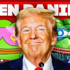 💣 Meme Coins GEDAALD! Maar Deze 3 Hebben GROTE Potentie! 🚀