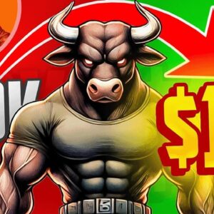 Why This New Bitcoin Inspired Meme Coin Could Make Millionaires!