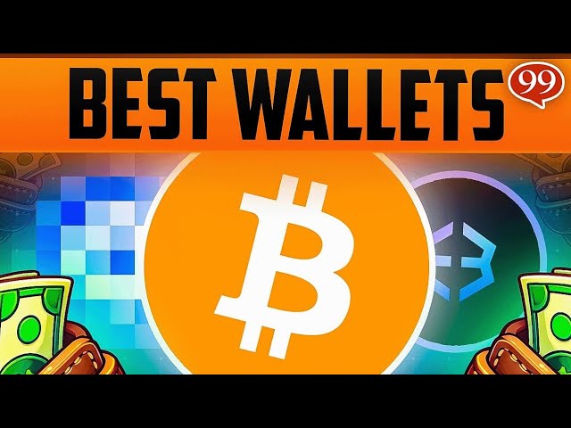 Best Crypto Wallets to Hold Bitcoin or Meme Coins With in 2025!