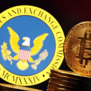 THE SEC JUST SAID THIS ABOUT BITCOIN!!