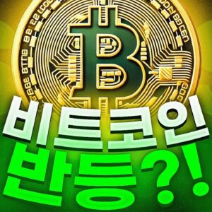 비트코인의 반등?! 그리고 BTC 불 토큰?!
