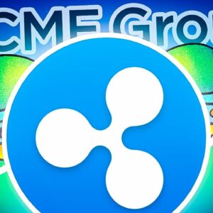 Krypto News: Diese Utility Tokens werden bei dem nächsten Bull Run explodieren!