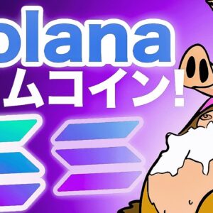 新しいSolanaミームコインSnorterって何？どこまで盛り上がるのか！？