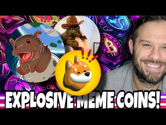 Meme Coins Are Exploding! These Are The Best Meme Coins For Quick Gains!