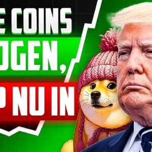 Pak je kans in 2025: De Top 3 Meme Coins die binnenkort ontploffen!!
