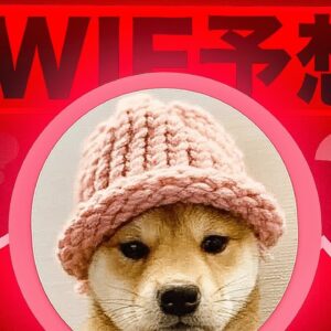 Dogwifhatは今後どうなる？将来の動きを大胆予想！！