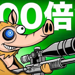 新しいミームコインSnorterがすごい！トレーディングBotでシェアを狙う！！