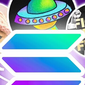 솔라나 기반 밈코인 TOP3?!