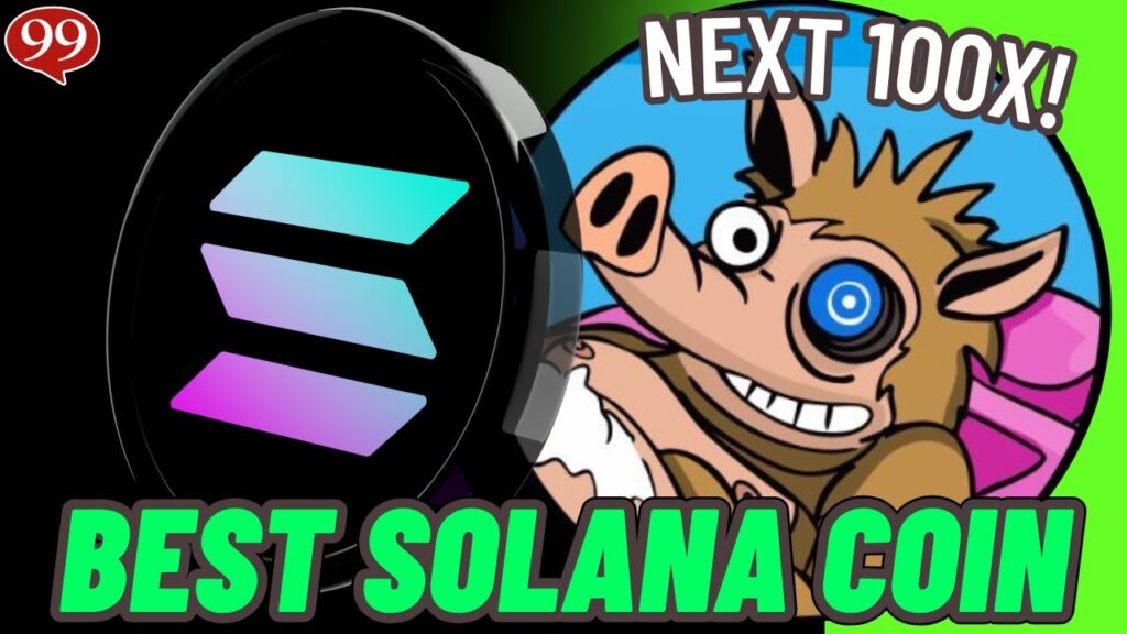 THE NEXT 100X SOLANA MEME COIN!? $SNORTER IS THE NEXT 100X! BEST CRYPTO ICO!