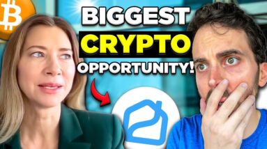 The #1 Most Undervalued Real Estate Coin in Crypto (BIG potential) | Propy