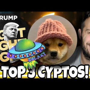 These Are The Best 3 Solana Meme Coins For Fast Gains!