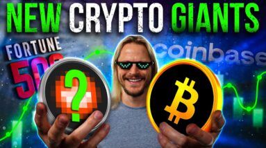They're Going ALL IN on Crypto: This is What Wall St is Buying!