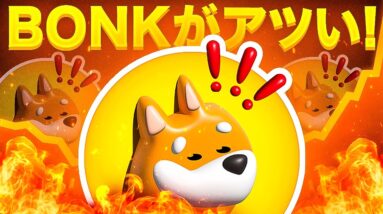 BONKが激アツか！？一日で19%の上昇を記録！今後どうなる！？