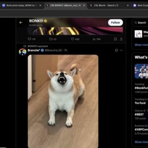 봉크($BONK) 코인의 상승?! 과연 어디까지?!