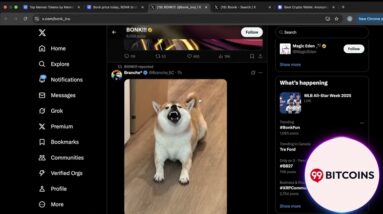 봉크($BONK) 코인의 상승?! 과연 어디까지?!