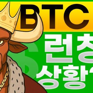 BTC 불 토큰 출시 이후의 상황 알아보기?!