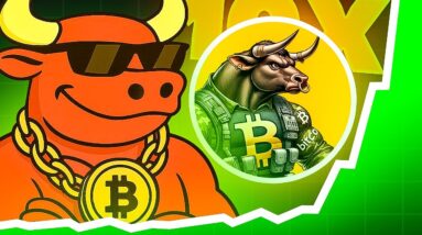 BTCBULL PODRÍA SER EL PRÓXIMO SHIBA 🐂🚀