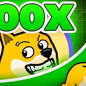MAXIDOGE NEXT 100X POTENTIAL MEME COIN?! (HUGE!!)
