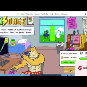 암호화폐 시장의 상승세와 밈코인 4가지 알아보기?!