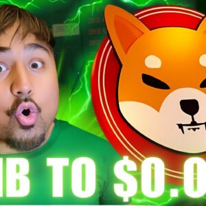 Can Shiba Inu Reach $1 in 2025?! Bullish Shiba Inu News! Shib Price Prediction