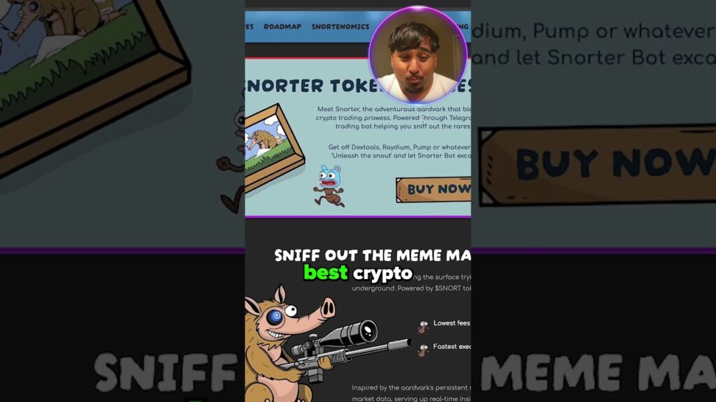 SOLANA TRADING BOT MEME COIN IS GOING CRAZY!!!