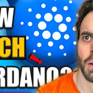 What 1,000 ADA Coins Will Be Worth in 2030...