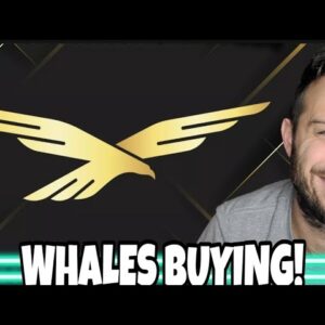 Whales Are Buying WLFI Token! The Circulating Supply Continues To Shrink!