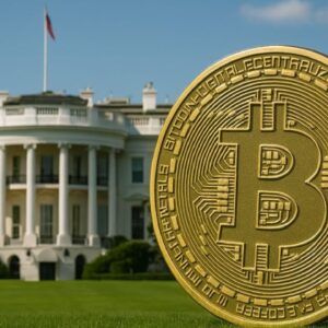 WHITE HOUSE IS MAKING A BITCOIN ANNOUNCEMENT TOMORROW!! GET READY FOR A BITCOIN PUMP!!