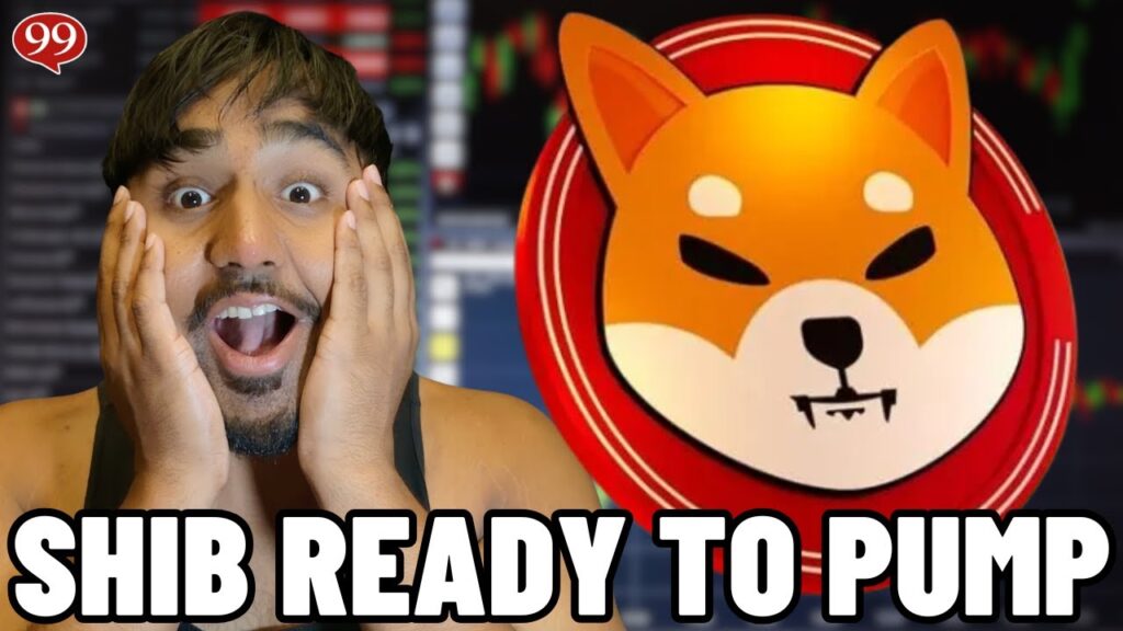 BULLISH SHIBA INU NEWS - SHIB HOLDERS GROWING! SHIB NEWS TODAY! SHIBA INU PRICE PREDICTION