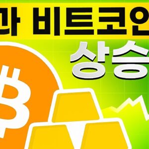 금과 비트코인의 사상 최고가 돌파 소식?!