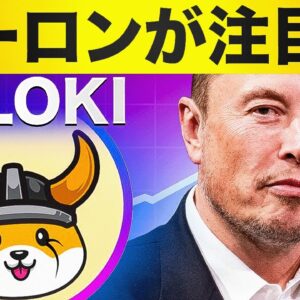イーロンマスクがFLOKIに言及で一時急騰したぞ！今後はどうなる？？