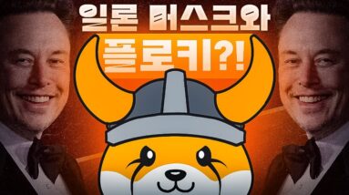 일론 머스크가 트위터에 플로키를?!